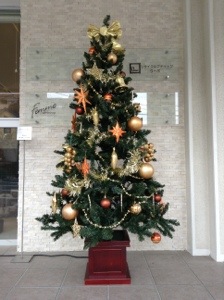 20131112-125254.jpg